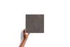 Crust Charcoal Streaks