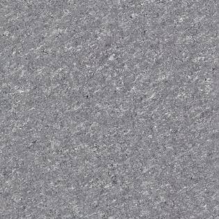 Endurance Gris