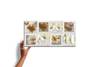 Grey Williams Decor 2
