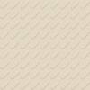 Kapsel Ivory Nitco