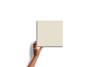 Pale Beige