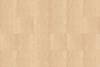 TRAVENTINO GOLD LP